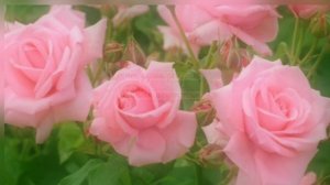 Лицо как у двадцатилетней.