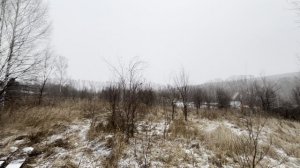 Лучезарная улица зу