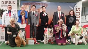 13.09.2025, СПб. Клуб "Невский Дебют-2" (РКФ, РФСС). Выставка собак "ОСЕННИЙ БОМОНД" (САС, ЧФ)