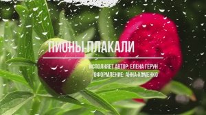 "Пионы плакали", романс Елены Герун