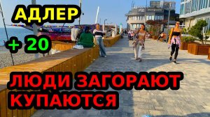 АДЛЕР | + 20 В НОЯБРЕ | ЛЮДИ ЗАГОРАЮТ И КУПАЮТСЯ | НОВАЯ АЛЕЯ НА РОМАШЕК | ПЛЯЖ ЛАЗУРЬ ОГОНЕК