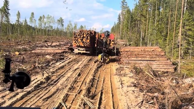 В паре с полноприводным, пески не страшны! @lesovoz11  @WhiteMaz смотреть онлайн