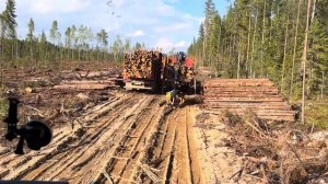 В паре с полноприводным, пески не страшны! @lesovoz11  @WhiteMaz