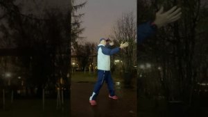 Ицюань (1541 день) Фубао Чжуан / Цепи Шили / Комплексы Цигун / Удары руками и ногами (7.11.25)