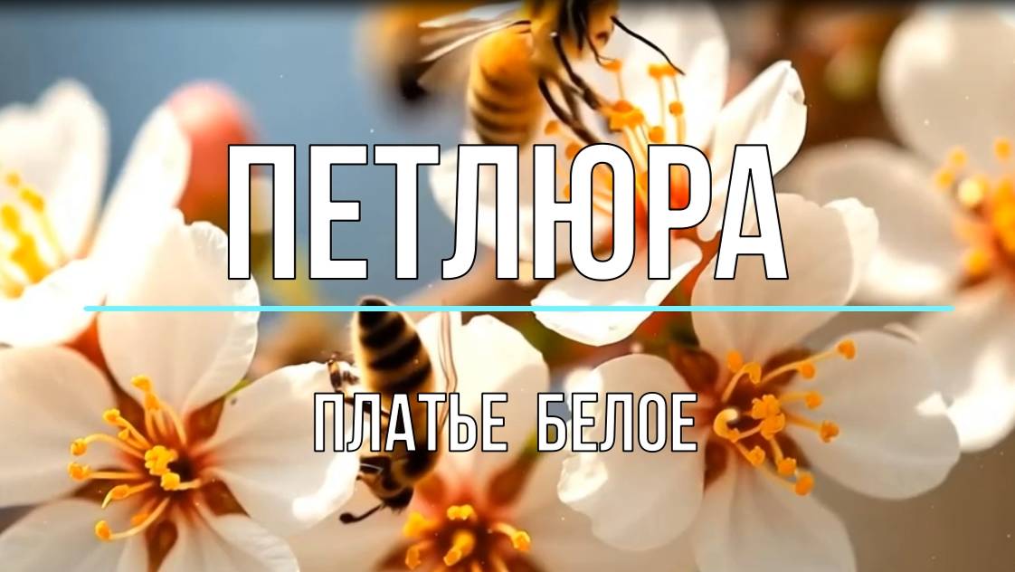 Петлюра Платье Белое смотреть онлайн