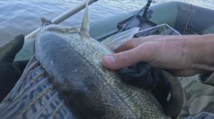 🔺️🎣ДО ВСТРЕЧИ ТРОФЕЙ🎣🔺️fishing#туризм#природа#ловля#рыбалка#щука#ловлящуки#ночевка#Чулым#река#