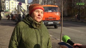 Около пяти тысяч растений: в Самаре подходит к концу сезон озеленения городских пространств