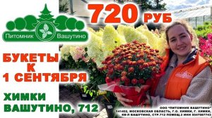 ТРАНСМЕДИА – Питомник Вашутино