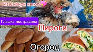 07-11-2025 Из Сибири на юг 💖/Наслаждаемся южной жизнью ☀️/Печём пироги,копаем огород.Глашку обидели