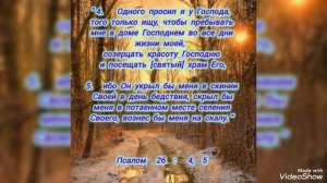 Божественный Художник
творит красоту внутри тебя....