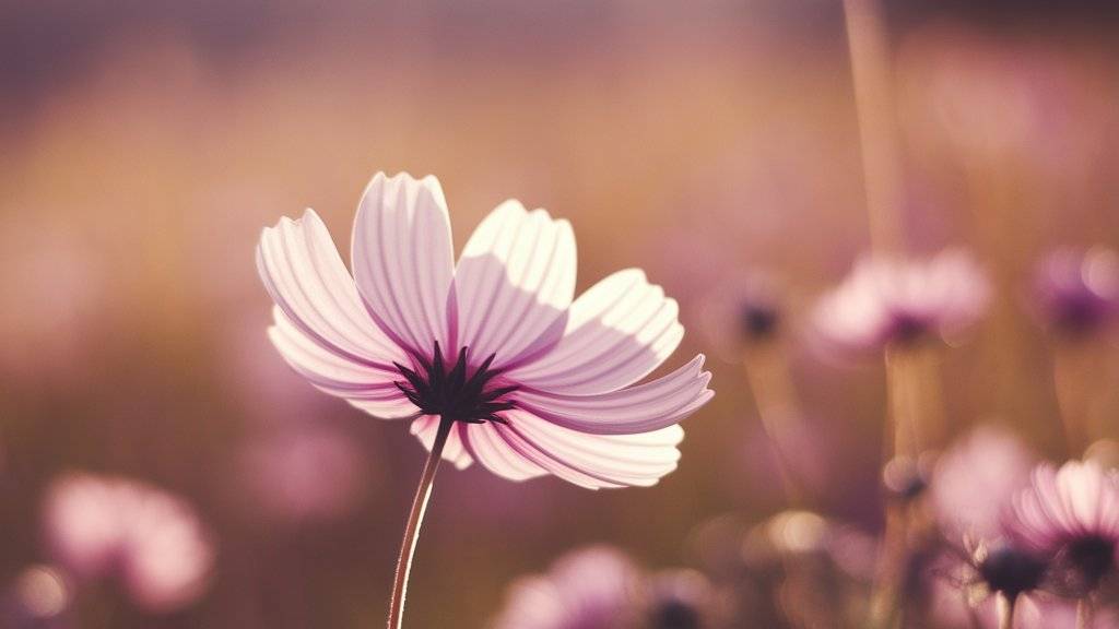 Альбом христианский смотреть онлайн