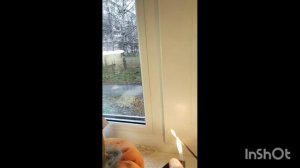 Всем доброго утра!