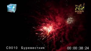 C9010 Буревестник 49