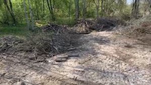 Расчистка участка, выкорчевывание пней на участке 10 соток в КП Павловская Жемчужина 15.05.2024