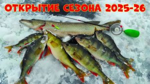 Ловля ОКУНЯ на балансир.