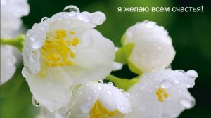 Молитва за мир во всем мире! Live 07.11.2025