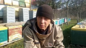 Итоги крайней обработки от клеща в 2025 году