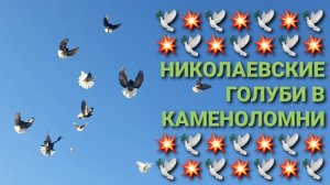 🕊🕊🕊 Николаевские голуби в Каменоломни. Pigeons Nikolaev.