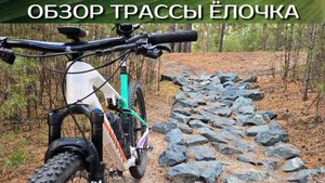 ОБЗОР трассы ХСО Ёлочка Барнаул кросс-кантри