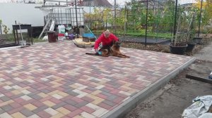 140. Подготовка огорода к зиме. Бабушка выздоравливает.