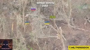 Один против двух