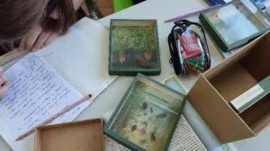 #уроки биологии в школе #школьники изучают коллекции