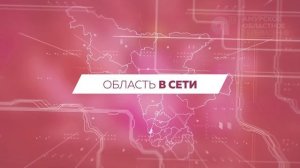Область в сети №323