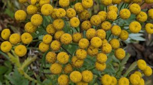 Похоронный дом в нашей деревне.