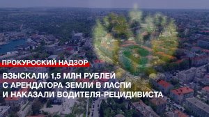 Взыскали 1,5 млн рублей с арендатора земли в Ласпи и наказали водителя-рецидивиста