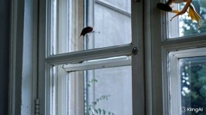 copy_D5528465-74A7-4417-92A6-3846F4163227