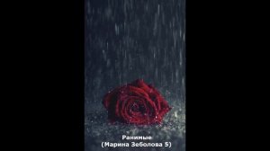 Ранимые (М. Зеболова) (мелодичный рок)