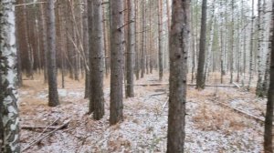 Странные железные колпаки в лесу ,что же это такое!!!