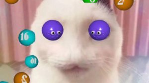 Nubby's Number Factory