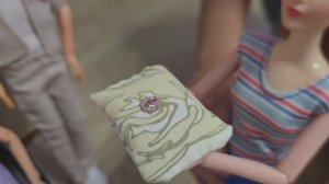 Настя и птичка - Свадьба Барби и Кена