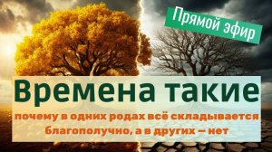 Прямой эфир «Времена такие: почему в одних родах всё складывается благополучно, а в других — нет»