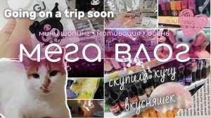 Мега влог 📹🔥 скупила кучу вкусняшек 🤩 скоро в поездку 🤗🌼