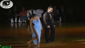 РОМАН СОН - А БЕЛЫЙ ЛЕБЕДЬ НА ПРУДУ - COVER 2025