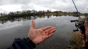 Прогулка с BFS кастингом. Обращай внимания на знаки!