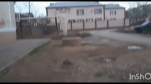 Прогулка с Яшей. Мы в шоке от того,что случилось.