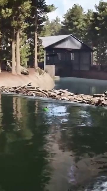 Не шутите с бобром