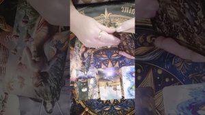 отношения ноябрь телец