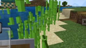 Маенкравт 24.06.2022