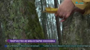 Скульптуры из мха в парке Сосновка
