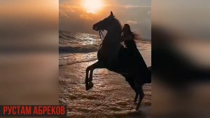 Рустам Абреков ➠ Лезгинка NEW Зажигательная