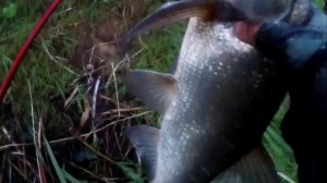 Охота за Жерехом в туман. Неман.