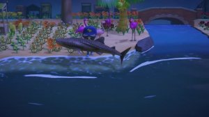 Китовая акула