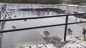 Ванна Клеопатры в горном парке Рускеала