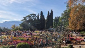 Выставка хризантем в Никитском Ботаническом Саду |Ялта, Крым, 2025 | Пишем этюд с хризантемами