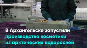 В Архангельске запустили производство косметики из арктических водорослей