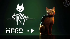 Stray. Тюрьма Аль-кот-рас (часть 10)